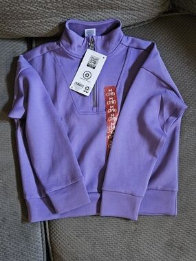 Purple Sandwash Quarter-Zip Pullover Sweatshirt